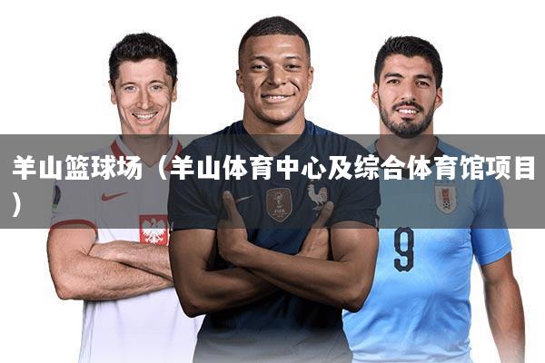 羊山篮球场（羊山体育中心及综合体育馆项目）