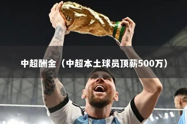 中超酬金（中超本土球员顶薪500万）