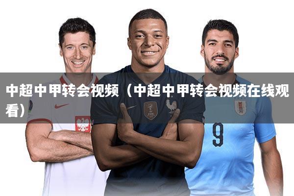中超中甲转会视频（中超中甲转会视频在线观看）