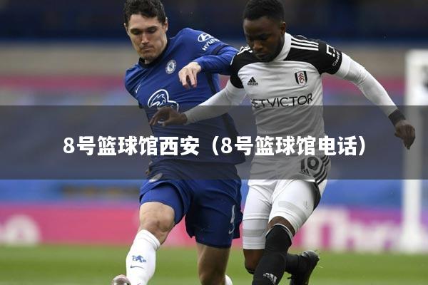 8号篮球馆西安（8号篮球馆电话）