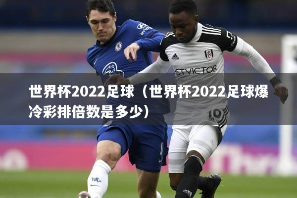 世界杯2022足球(世界杯2022足球爆冷彩排倍数是多少)