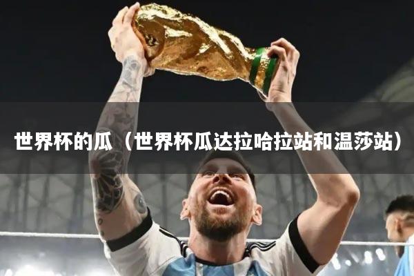 世界杯的瓜（世界杯瓜达拉哈拉站和温莎站）