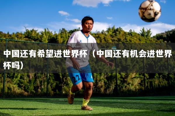 中国还有希望进世界杯（中国还有机会进世界杯吗）